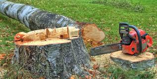 Best Firewood Processing and Delivery  in Boiling Springs, NC